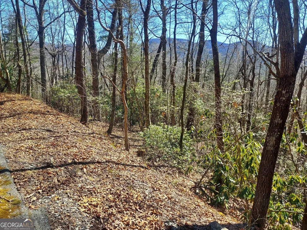 Unit for sale at 0 LOT 41 Pipetrack Gap Road, Scaly Mtn, NC 28775