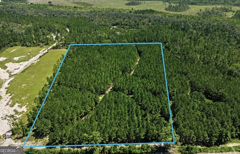 Unit for sale at 0 Mill Branch Club Road, Pembroke, GA 31321