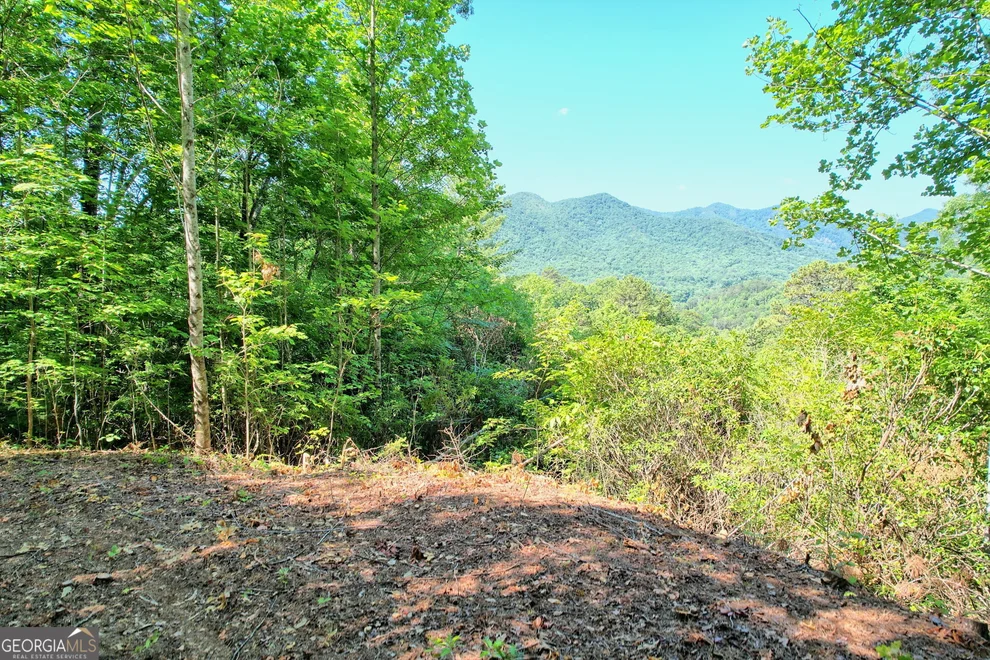 Unit for sale at 0 Raven Fork Trail, Dillard, GA 30537