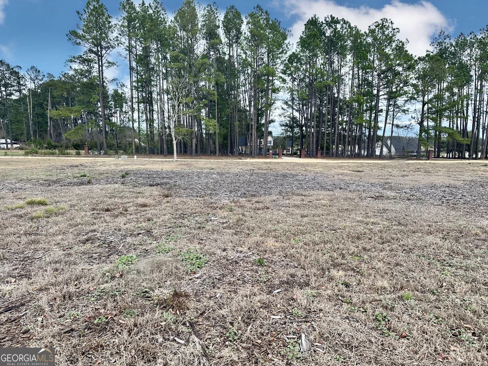 Unit for sale at 0 Southside Drive, Blackshear, GA 31516