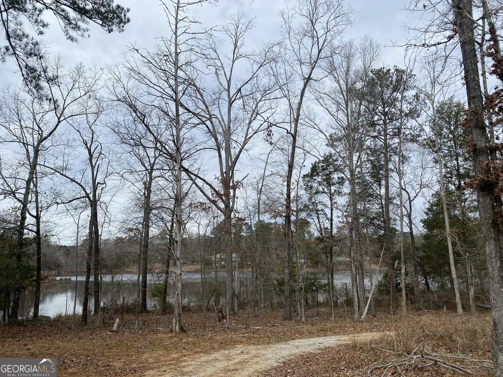 Unit for sale at 0 Paradise Street, Lincolnton, GA 30817