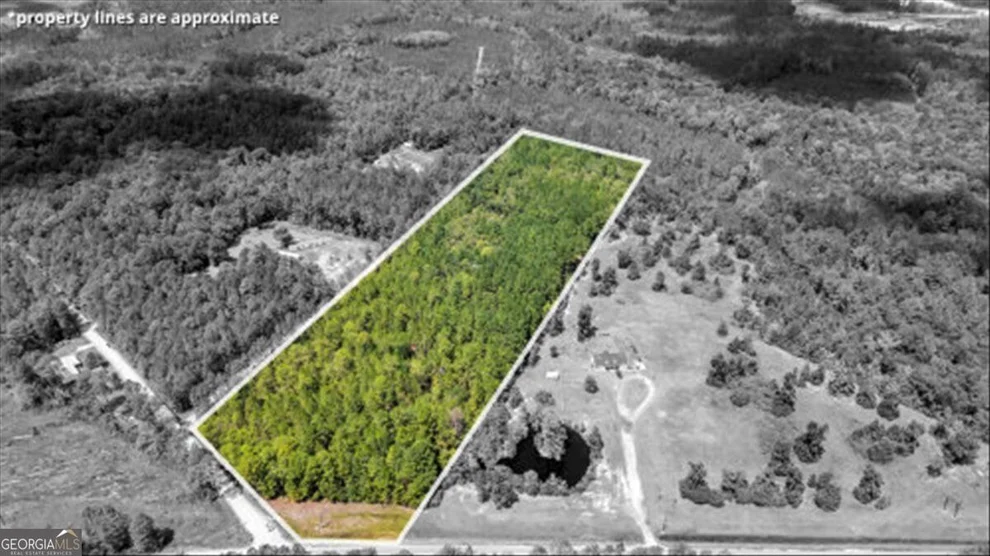 Unit for sale at 15.5 AC Elim Church Road NE, Ludowici, GA 31316