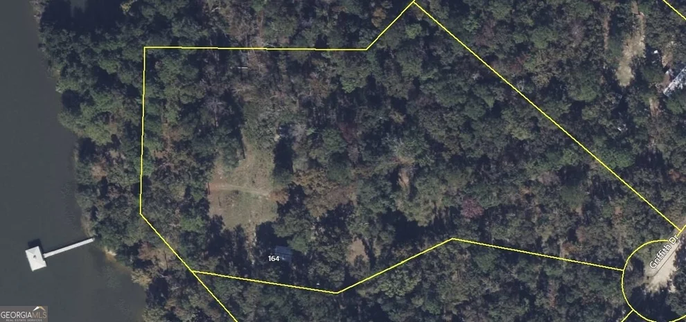 Unit for sale at 164 Griffith Drive, Fort Gaines, GA 39851