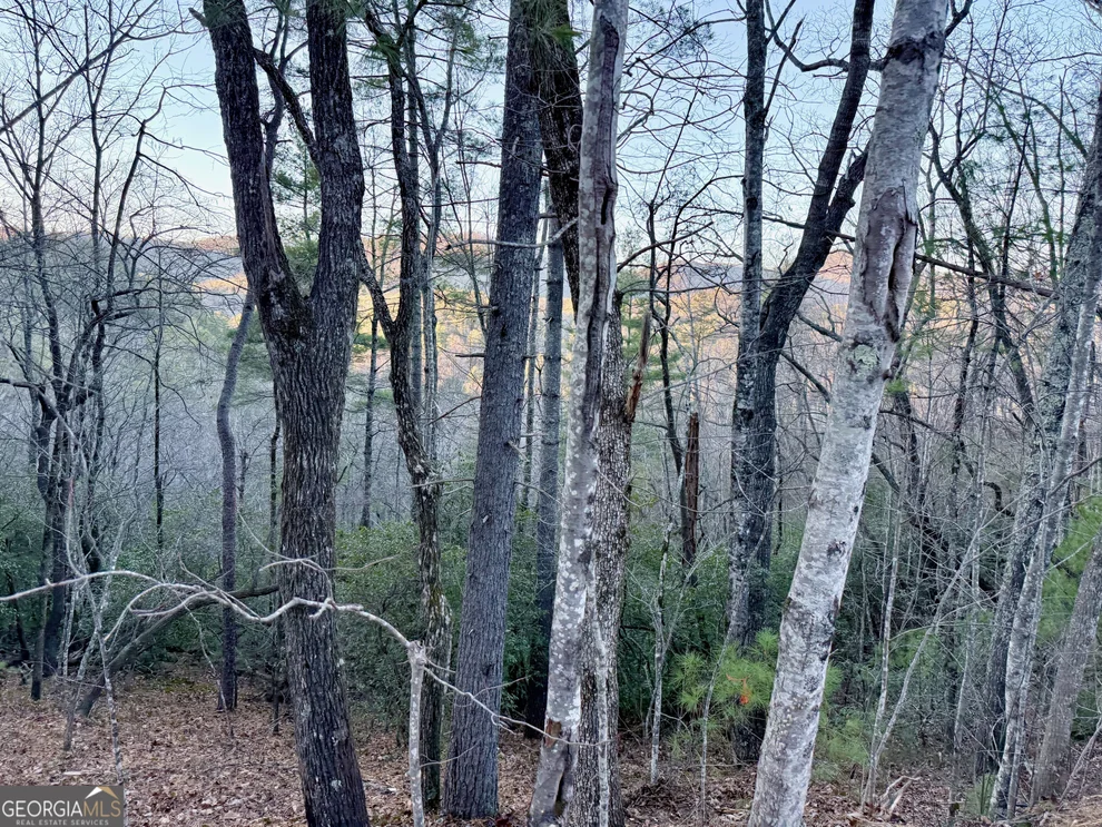 Unit for sale at 0 Timber Bluff Drive, Clayton, GA 30525