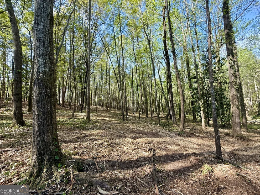 Unit for sale at 422 Parkway Drive, Toccoa, GA 30577