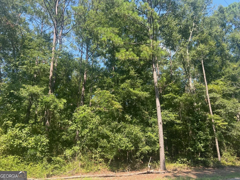 Unit for sale at 203 Pebble Cove Road, Abbeville, AL 36310