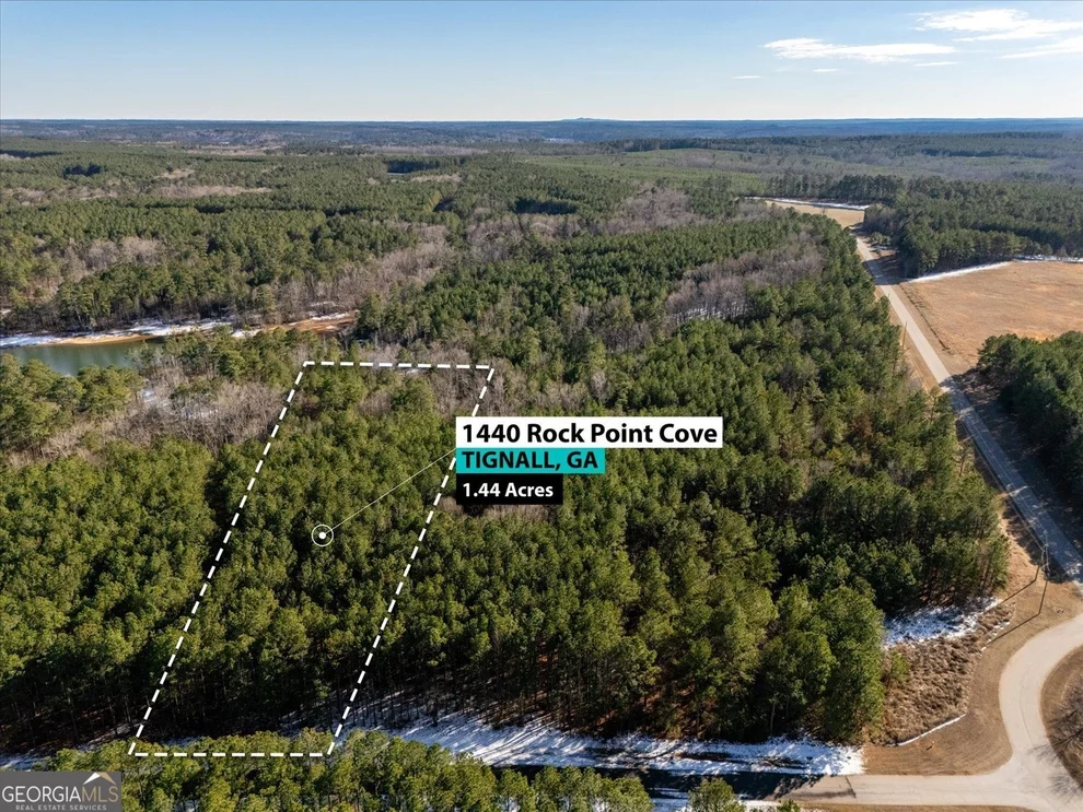 Unit for sale at 1440 Rock Point Cove, Tignall, GA 30668