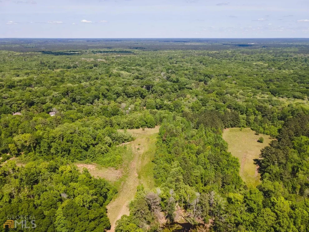 Unit for sale at 0 Old River Road S, Brooklet, GA 30415