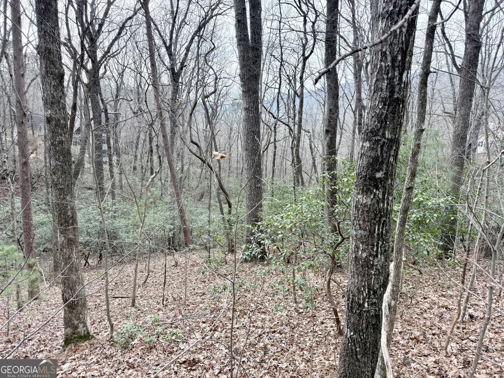 Unit for sale at 0 Monarch Lane, Clayton, GA 30525