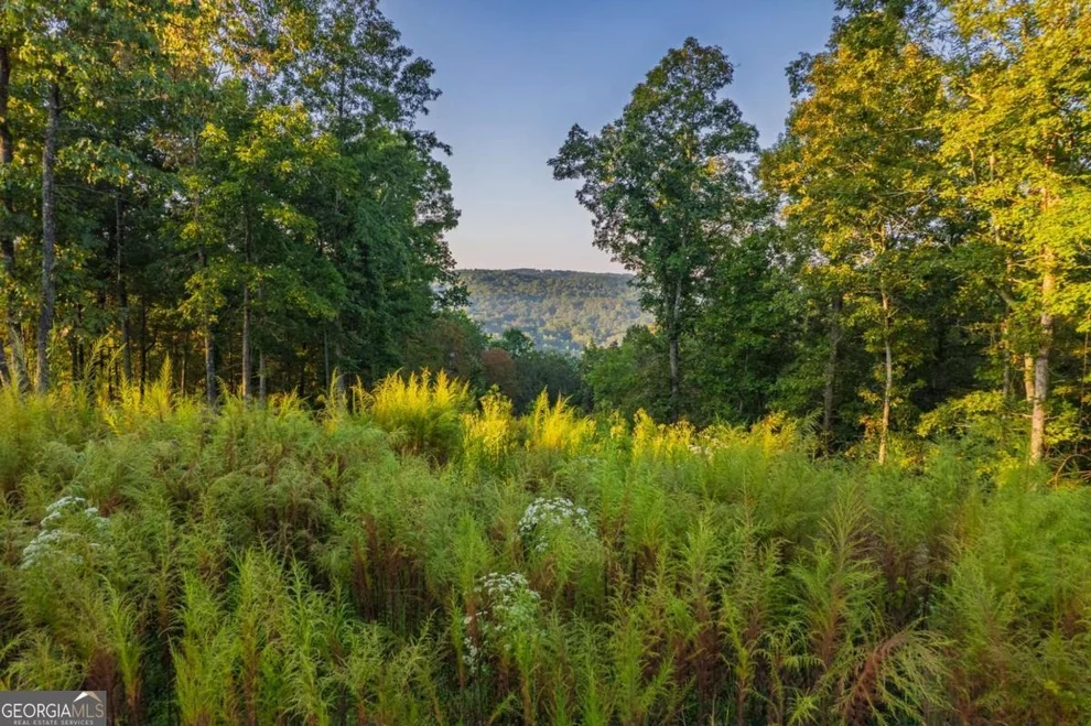 Unit for sale at LOT 290 Anglers Ridge Road, Talking Rock, GA 30175