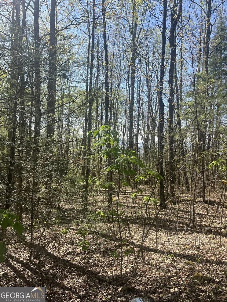 Unit for sale at 0 Happy Hill, Scaly MTN, NC 28775
