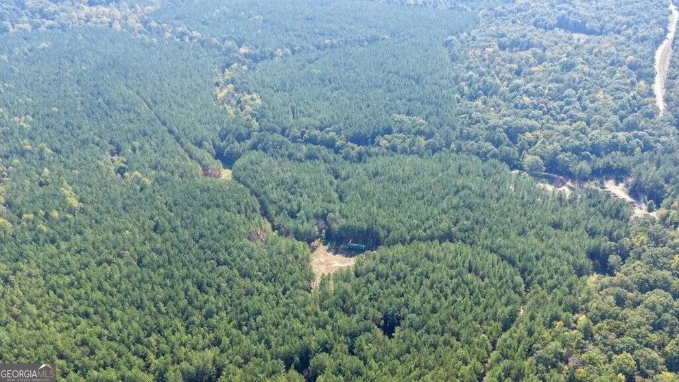 Unit for sale at 0 Hwy 220 & Salem Church Road, Lincolnton, GA 30817