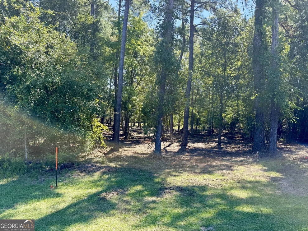 Unit for sale at 0 Friendship Road, Sylvania, GA 30467
