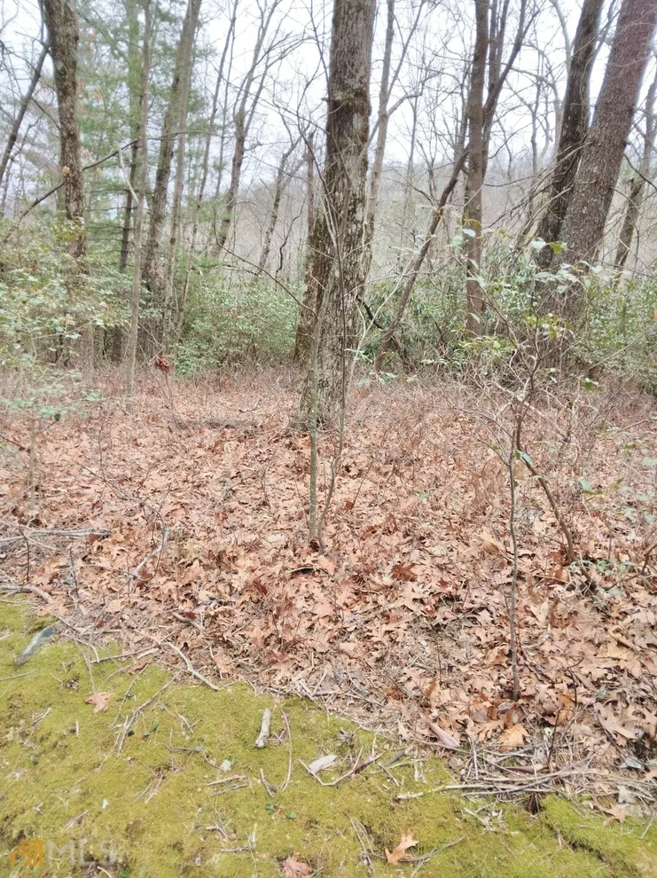 Unit for sale at 0 LOT 10 & 11 Honey Bear, Dillard, GA 30537