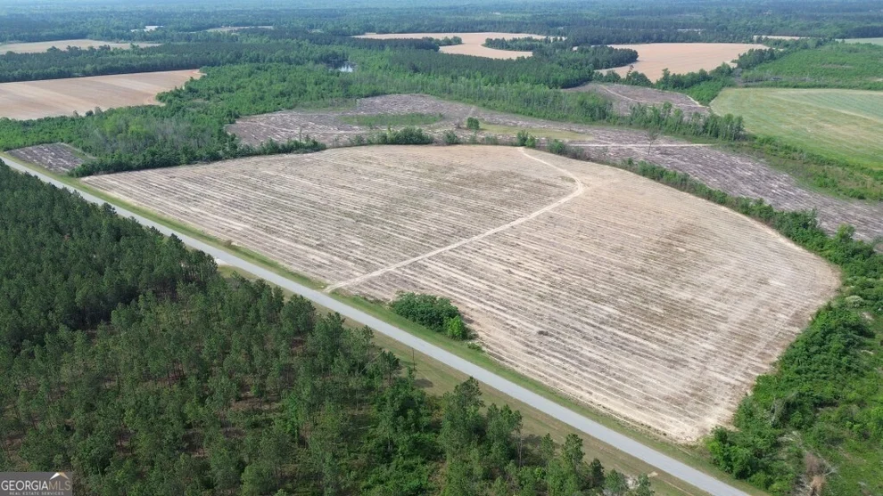 Unit for sale at 0 Bunn Store Road, Midville, GA 30441