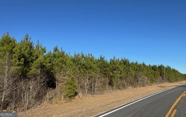 Unit for sale at LOT 5 Whitfield Road, Elko, GA 31025