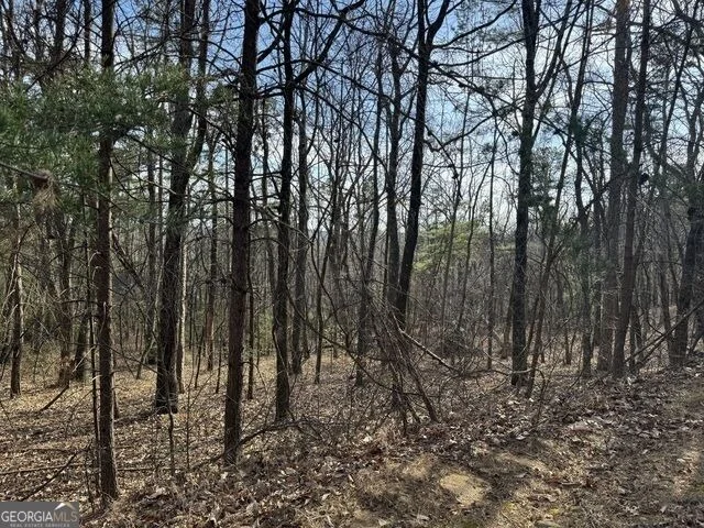 Unit for sale at 0 Scarlett Pippin Lane, Clarkesville, GA 30523