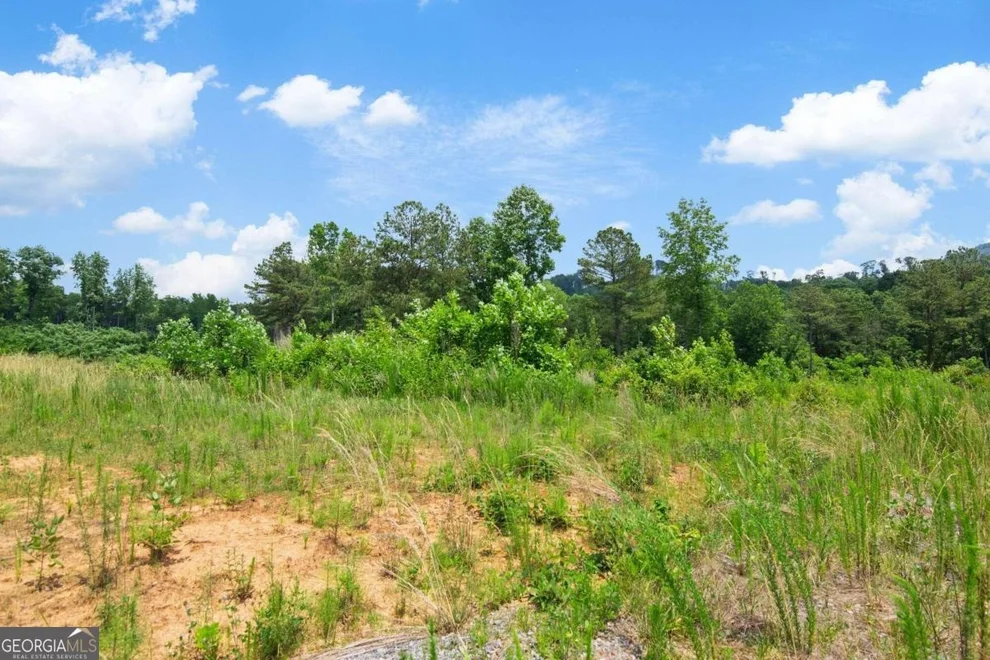 Unit for sale at LOT 196 Oak Park Drive, Talking Rock, GA 30175