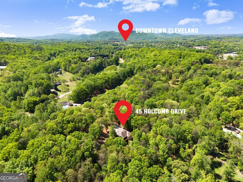 Unit for sale at 45 Holcomb Drive, Cleveland, GA 30528