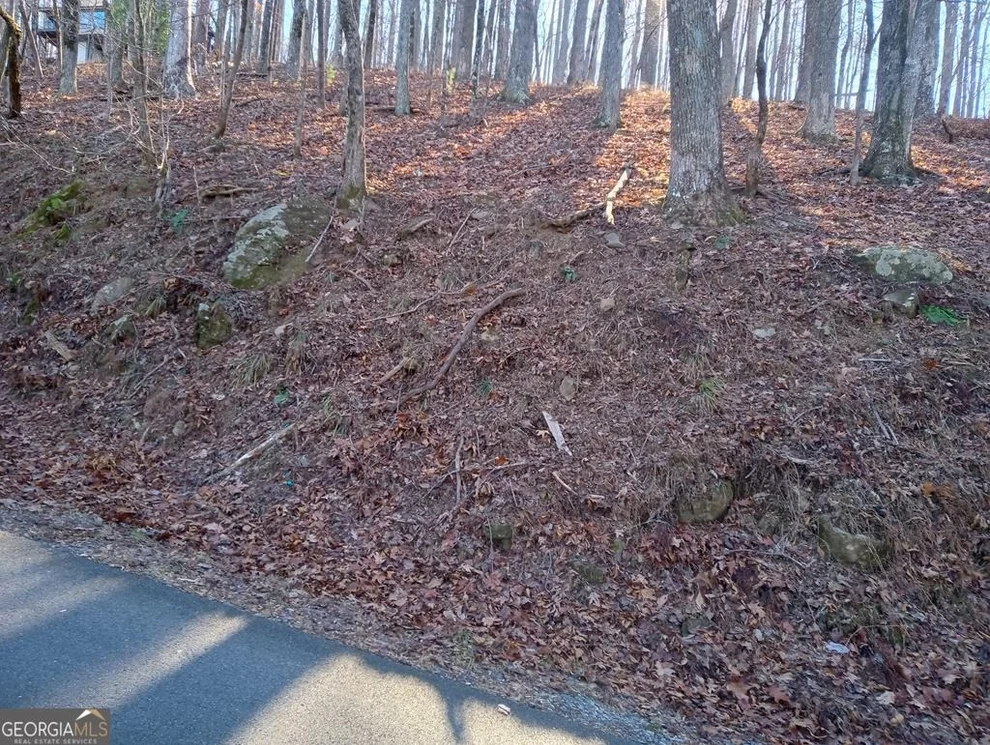 Unit for sale at LT M214 Walnut Ridge, Ellijay, GA 30536