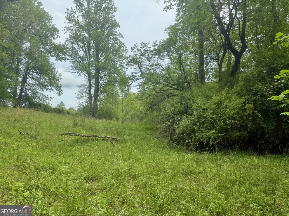 Unit for sale at LOT 9 Peach Orchard Way, Tiger, GA 30576
