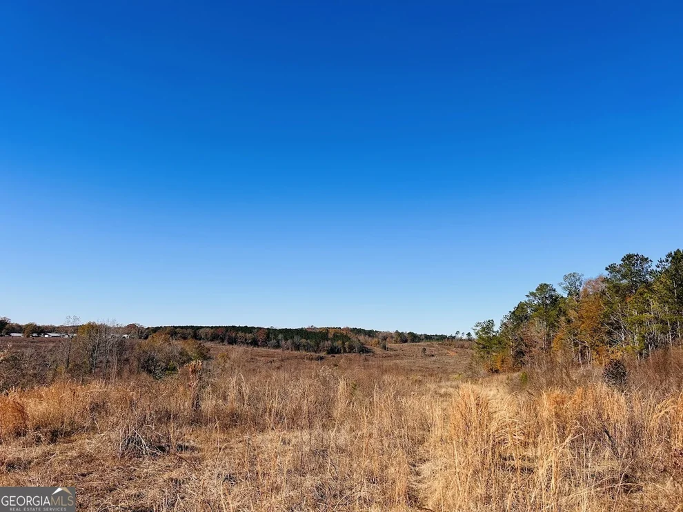 Unit for sale at 0 Jaye Road, Rupert, GA 31081