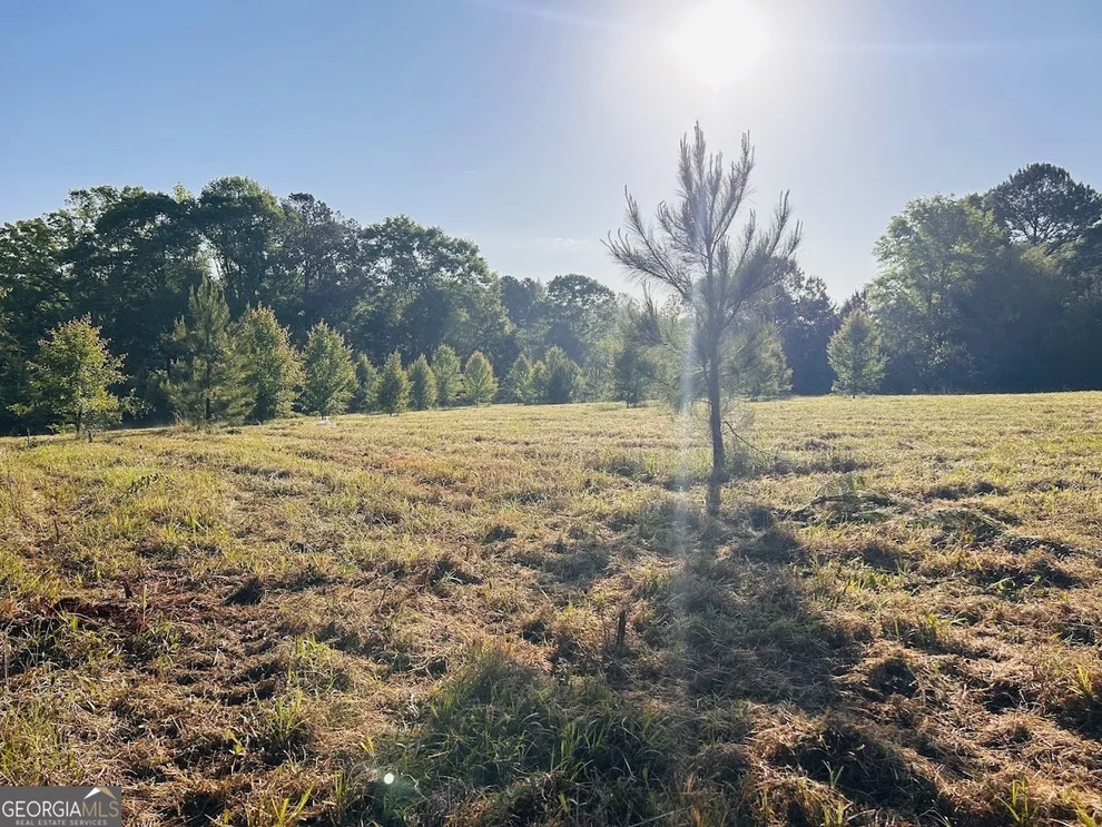 Unit for sale at 0 Collier Road, Concord, GA 30206