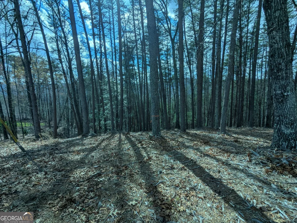 Unit for sale at LT 30-31 Eagle Ridge Road, Dawsonville, GA 30534