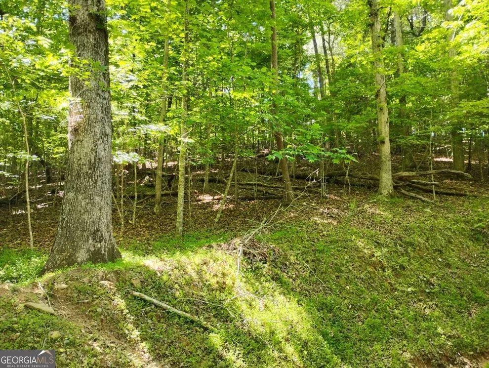 Unit for sale at 0 Gladstone Court, Ellijay, GA 30540