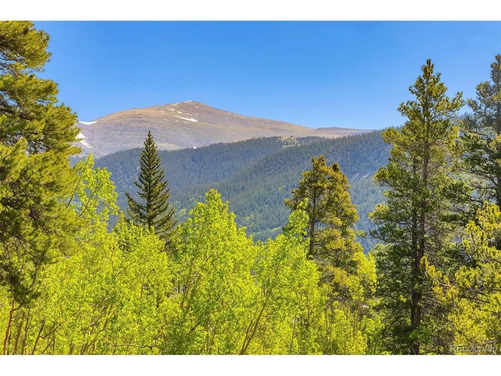 Unit for sale at 715 Lewsader Rd, Alma, CO 80420