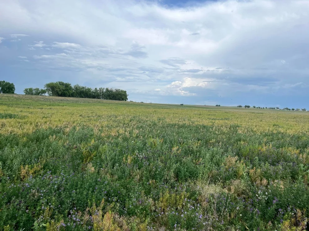 Unit for sale at 0 County Road 33, Platteville, CO 80651