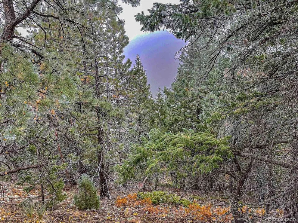 Unit for sale at 1111 Amazon Lode Dr, Jamestown, CO 80455