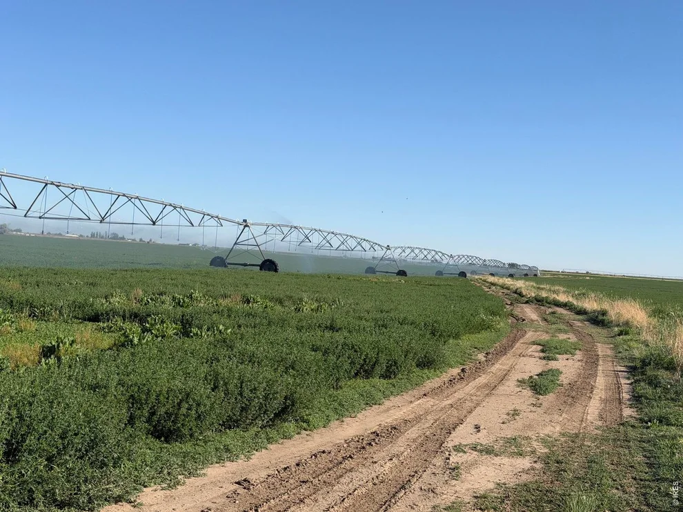 Unit for sale at County Road 70, Eaton, CO 80615