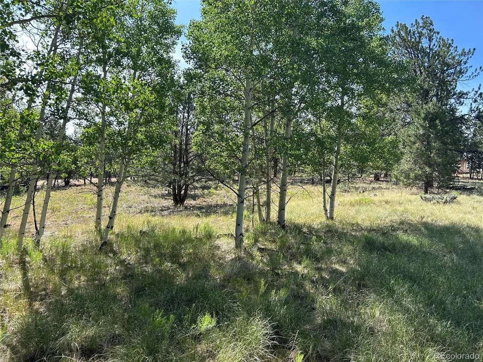 Unit for sale at 519 Hayhook Way, Hartsel, CO 80449