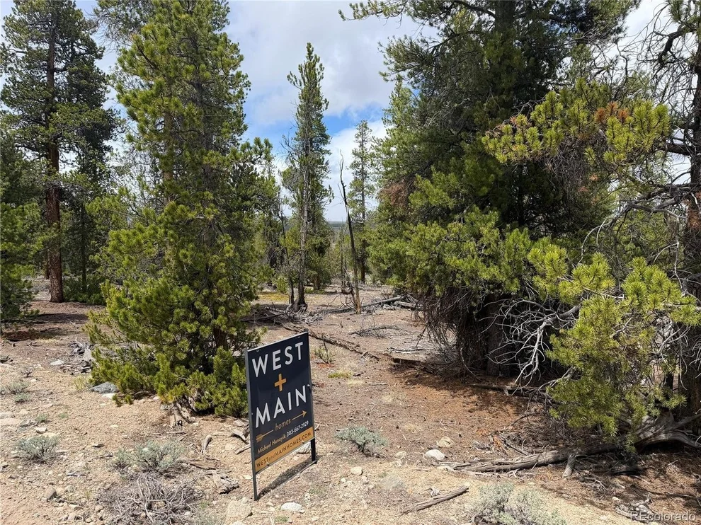 Unit for sale at 341 Lodgepole Dr, Leadville, CO 80461