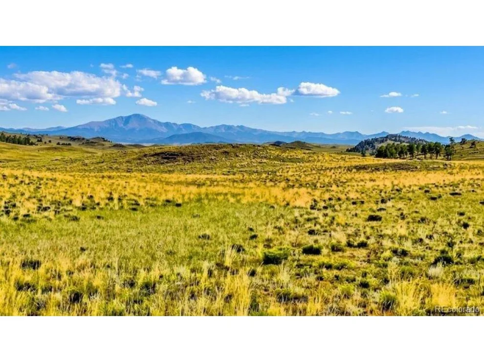 Unit for sale at 123 Shawnee Trl, Hartsel, CO 80449