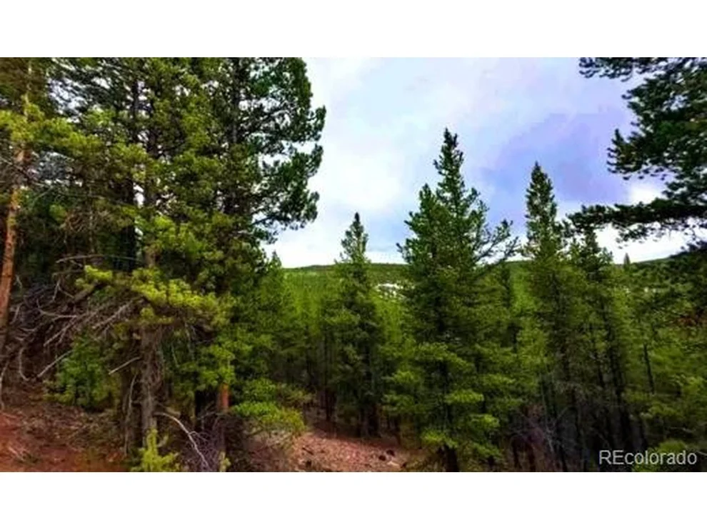 Unit for sale at 111 FS Road 752.3B, Gunnison, CO 81231