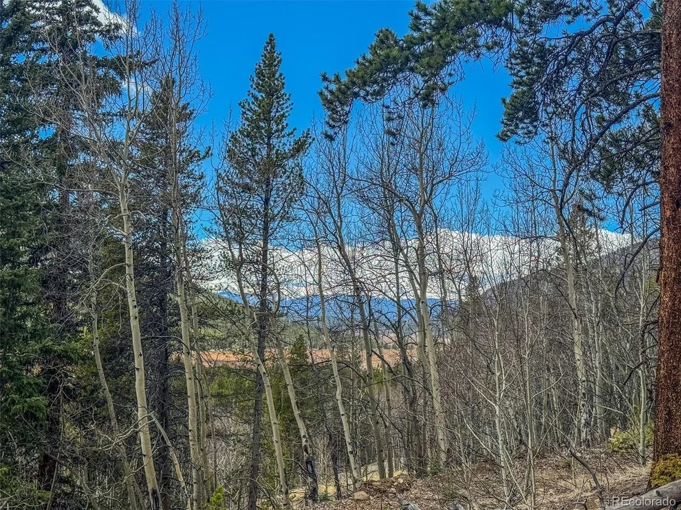 Unit for sale at Buckeye Gulch Road, Leadville, CO 80461