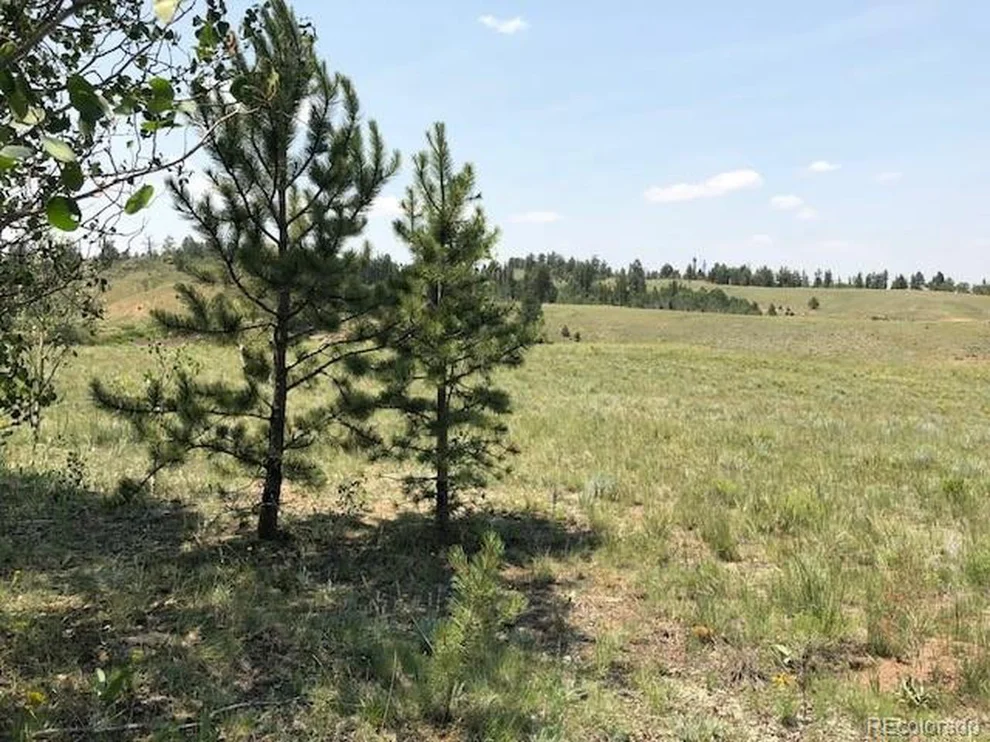 Unit for sale at 550 Aspen Trl, Hartsel, CO 80449