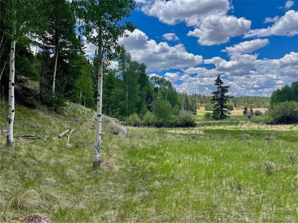 Unit for sale at 458 Arrowhead Rd, Florissant, CO 80816