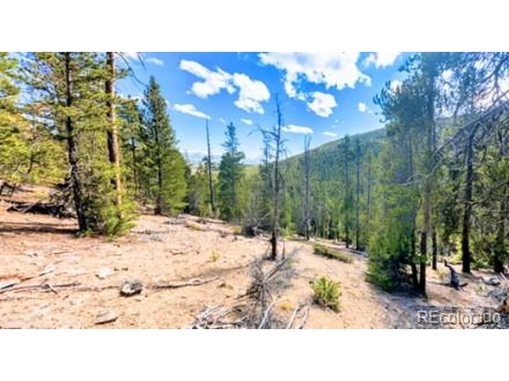 Unit for sale at 111 Kevin Gulch Rd, Leadville, CO 80461