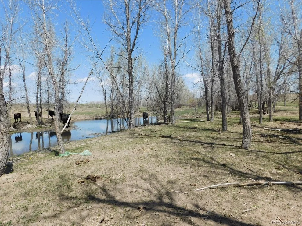 Unit for sale at 20235 Way Of Peace, Deer Trail, CO 80105