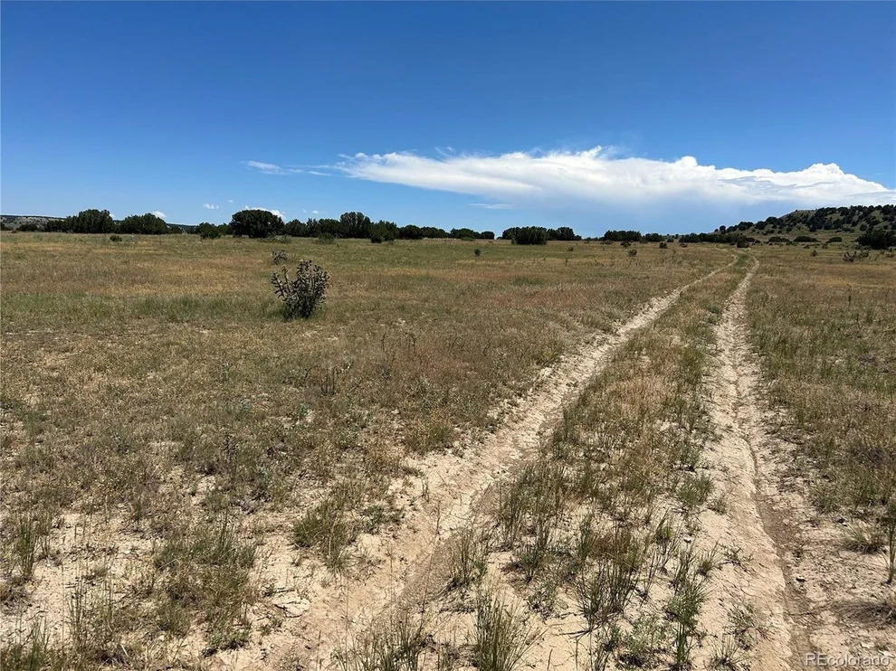 Unit for sale at 17 Longhorn Ranch, Model, CO 81059