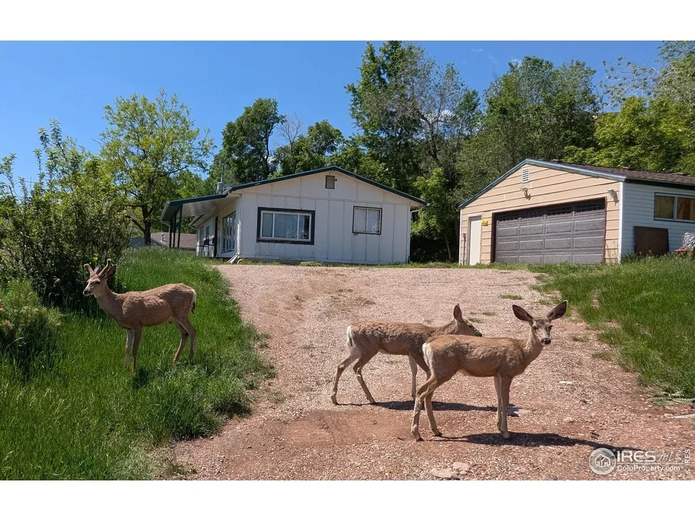 Unit for sale at 4809 Foothills Dr, Fort Collins, CO 80526