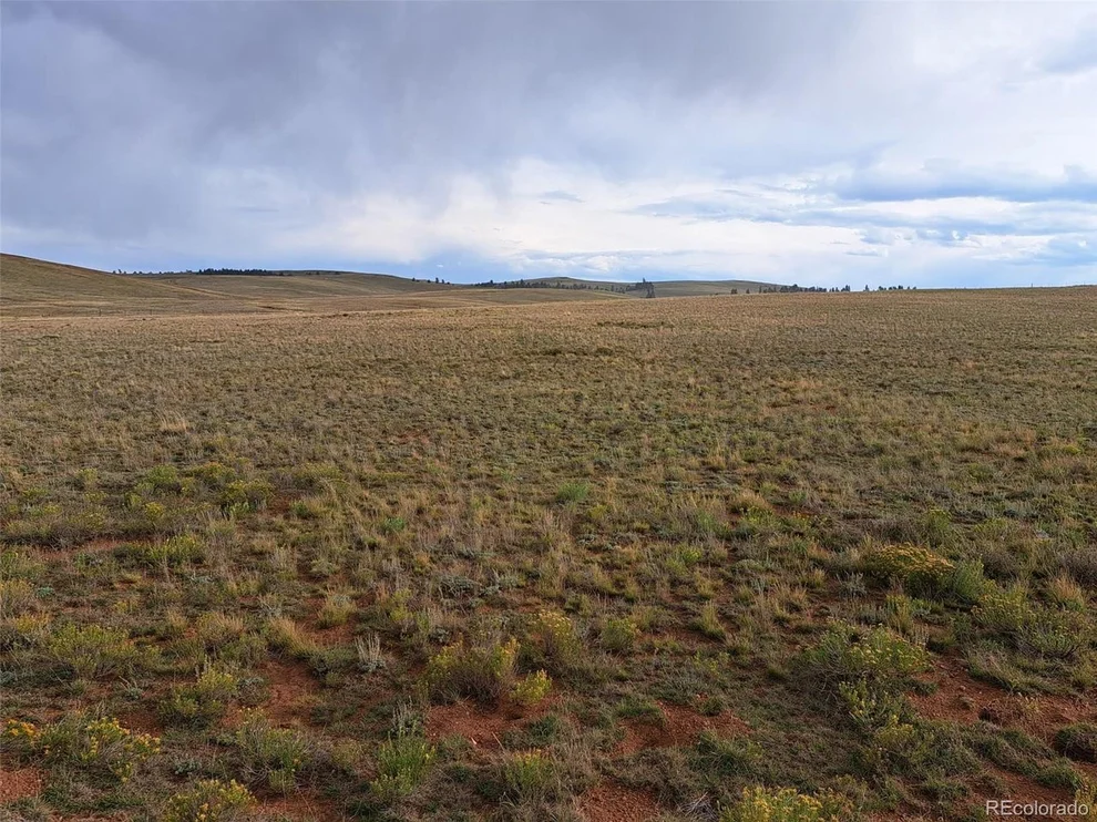 Unit for sale at 0 Kiowa Rd, Hartsel, CO 80449