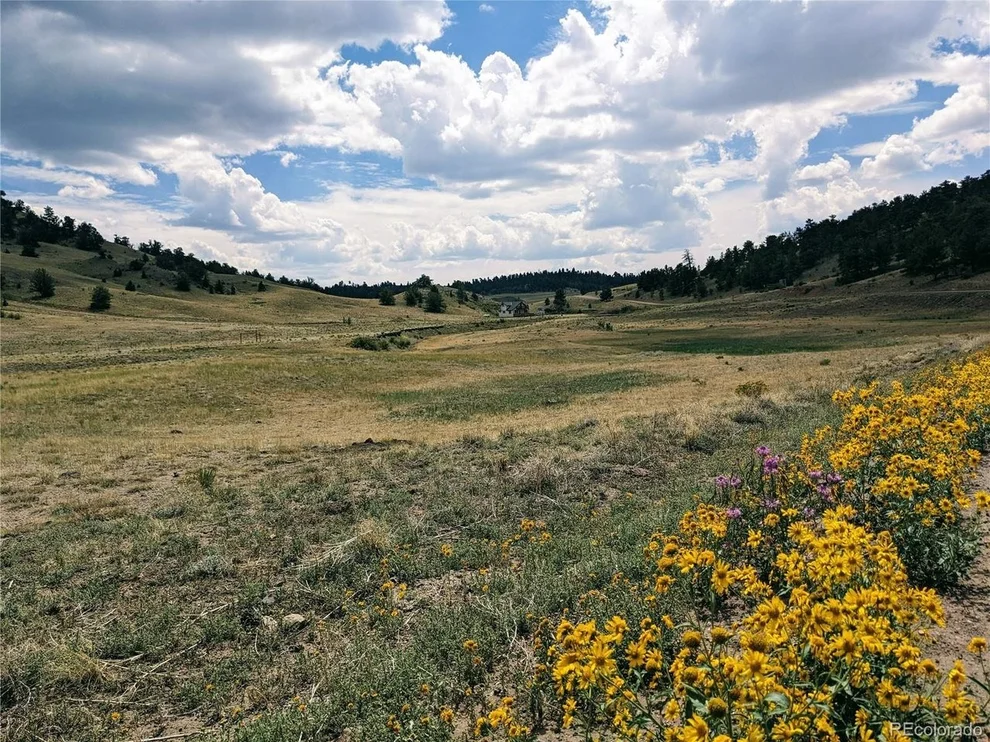 Unit for sale at 55 Jay Ct, Hartsel, CO 80449