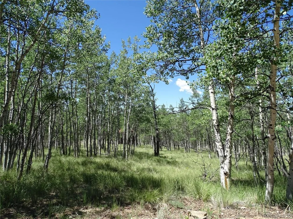Unit for sale at 782 Bowstring Rd, Como, CO 80432