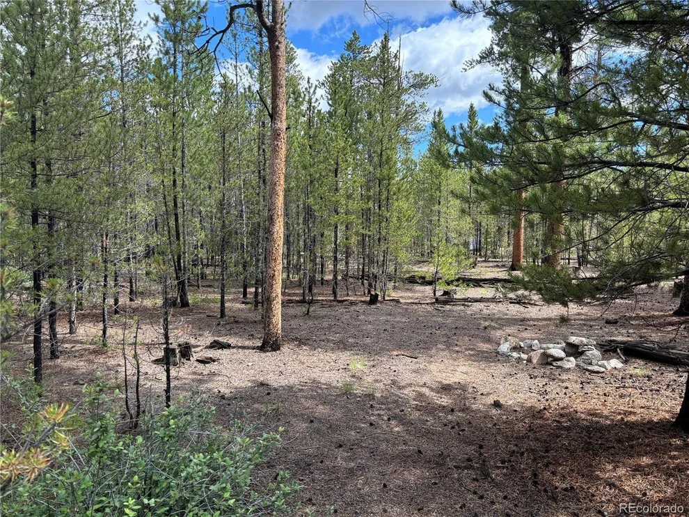 Unit for sale at 399 Fir Dr, Twin Lakes, CO 80461