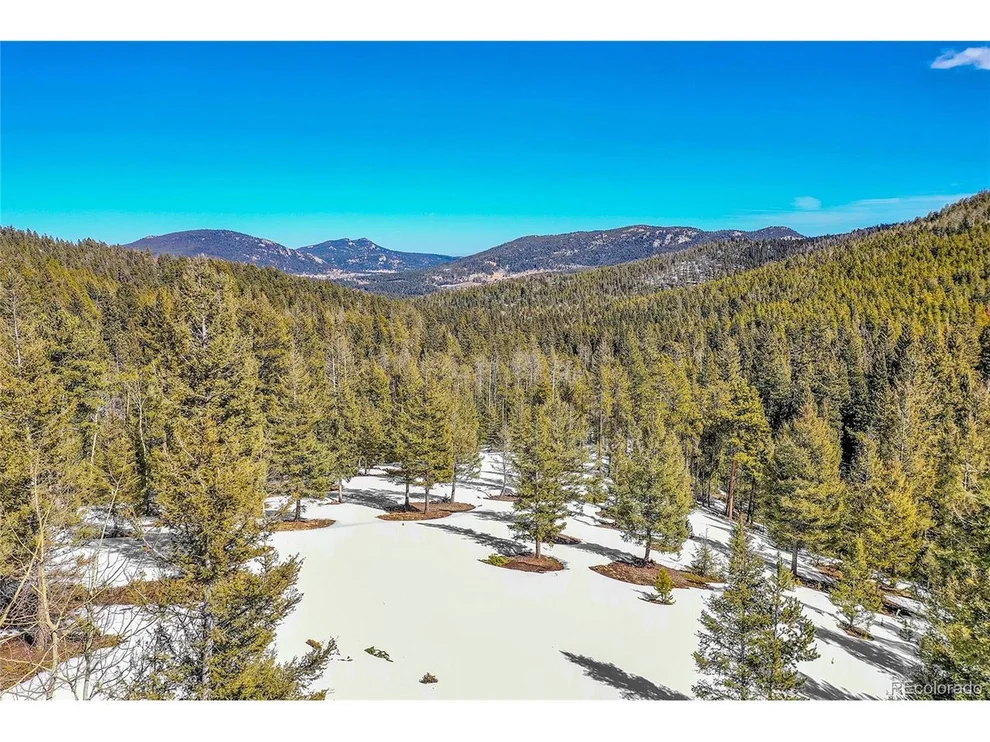 Unit for sale at 29788 Barney Brook Dr, Conifer, CO 80433