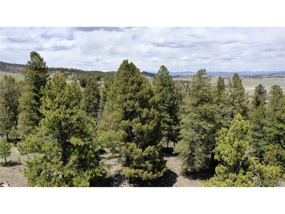 Unit for sale at 728 Stacker Dr, Hartsel, CO 80449
